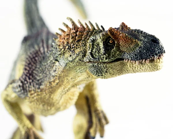Un dinosaurio allosaurio se levanta contra un fondo blanco —  Fotos de Stock