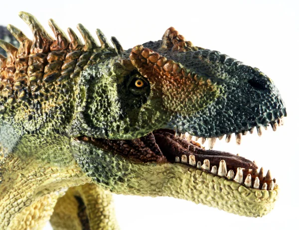 Un dinosauro allosauro su uno sfondo bianco — Foto Stock