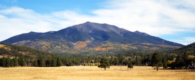 An autumn view of the northwest slope of the San Francisco Peaks, Arizona clipart