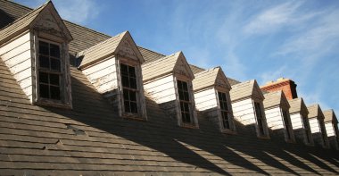 A Shingle Roof and Dormers in Need of Repair clipart