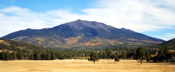 stock image An autumn view of the northwest slope of the San Francisco Peaks, Arizona
