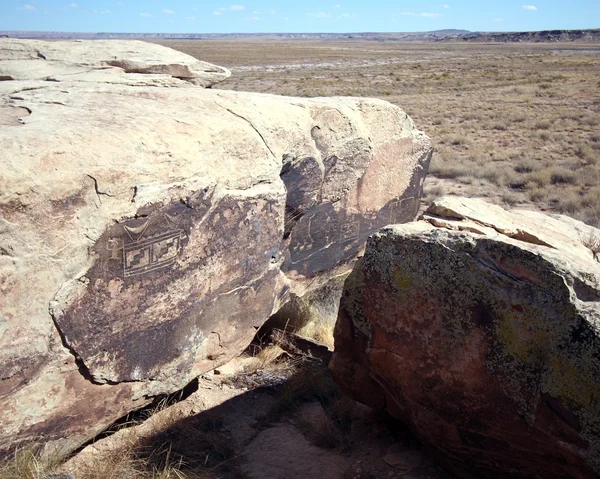 Petroglify antyczny, petrified forest national Park — Zdjęcie stockowe