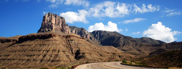 仙人掌上瓜达卢佩山国家公园的道路 — 图库照片