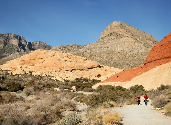 Een rode rock canyon national conservation gebied scène — Stockfoto