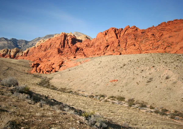 En red rock canyon nationella bevarande område scen — Stockfoto