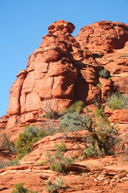 sedona, arizona yakınlarında bir kırmızı kayalar, mavi gökyüzü, yeşil bitkiler sahne