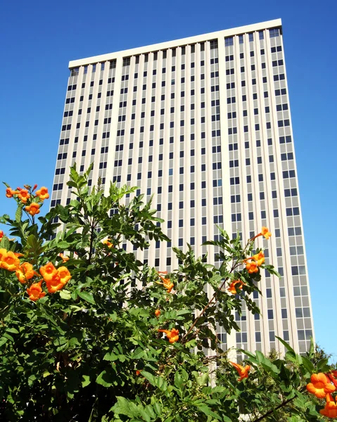Een modern kantoorgebouw met oranje bloemen — Stockfoto