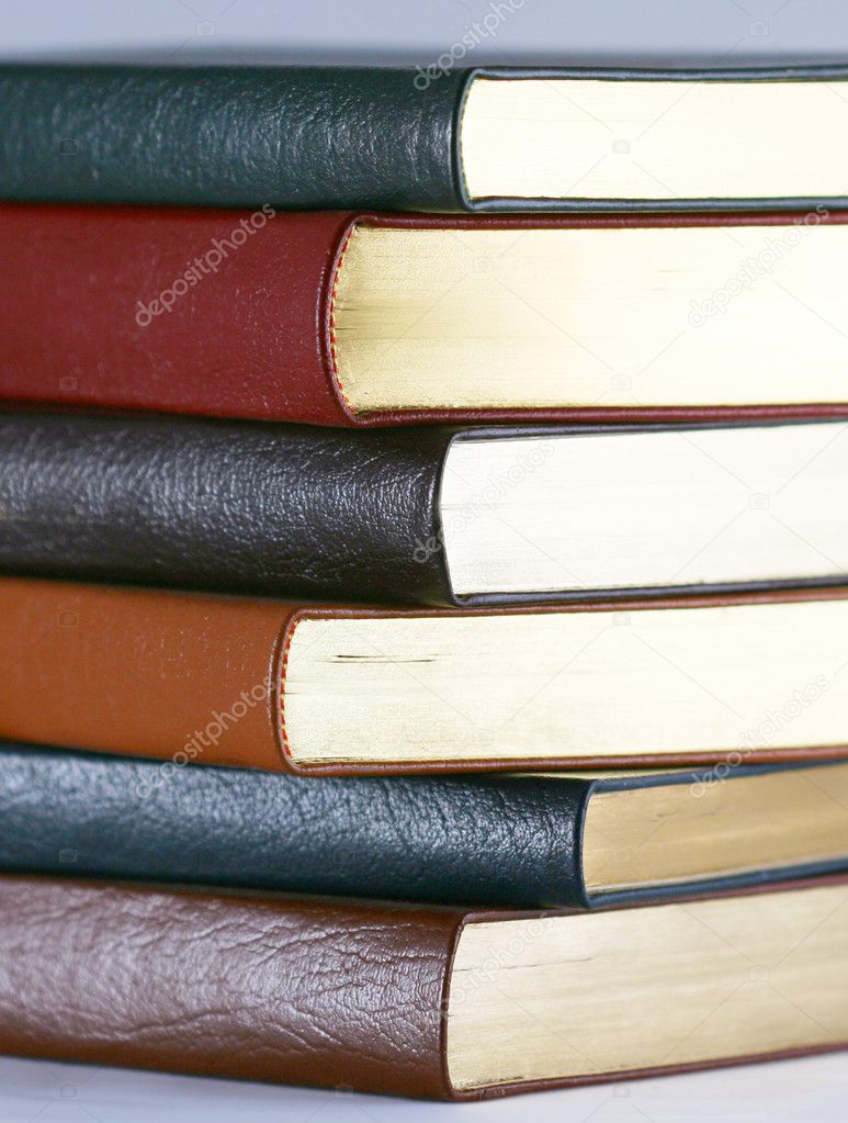 A Set of Six Leather Bound Books