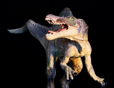 spinosaurus dinozor siyah bir arka plan karşı anlamına gelir.