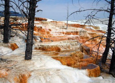 Hot Spring Terraces clipart