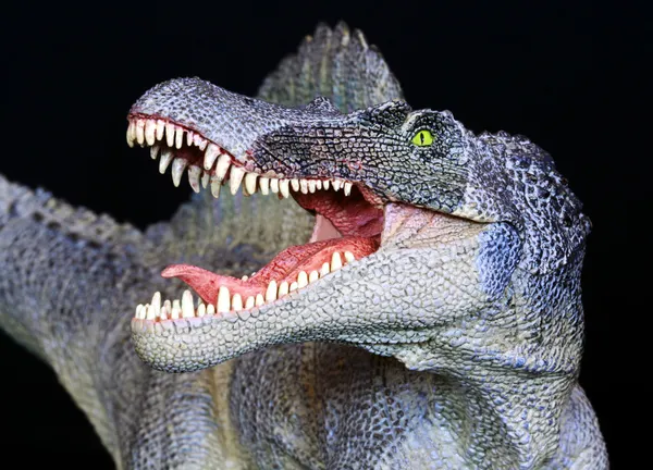 Un dinosaurio de Spinosaurus de cerca contra el negro — Foto de Stock