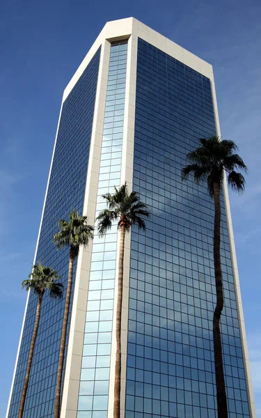 Une tour de verre et quatre palmiers — Photo