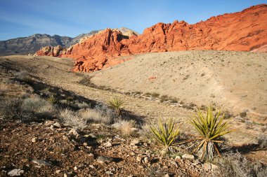 A Red Rock Canyon National Conservation Area Scene clipart