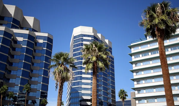 市中心的棕榈树和建筑物视图 — 图库照片