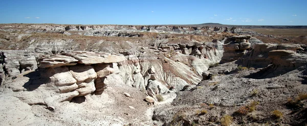 化石の森、アリゾナ州で排水のビュー — ストック写真