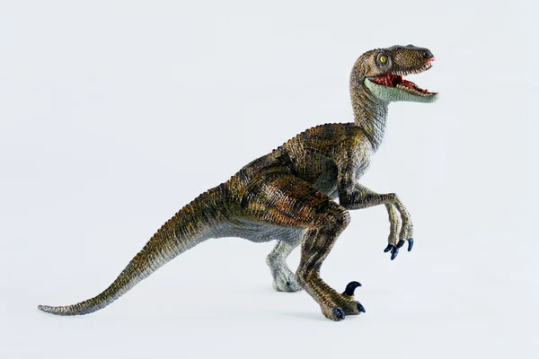 Un Velociraptor sta su uno sfondo bianco Fotografia Stock