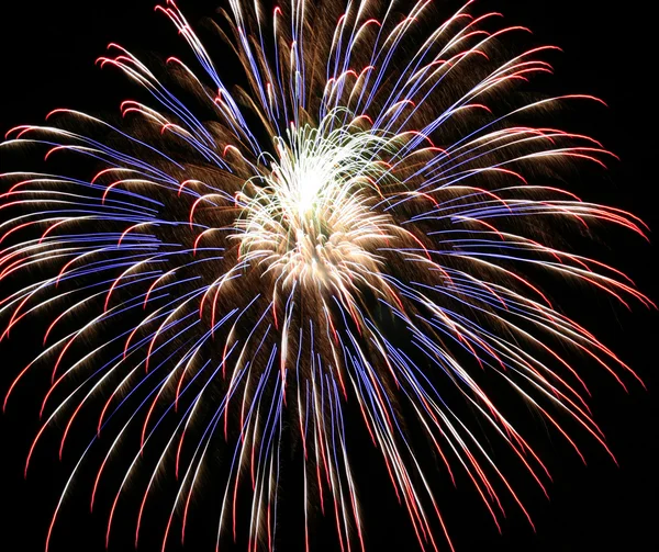 Fuochi d'artificio del 4 luglio, rosso, bianco e blu — Foto Stock