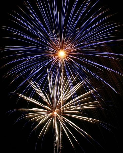 Fuochi d'artificio del 4 luglio, 2 razzi esplodono, blu e oro — Foto Stock