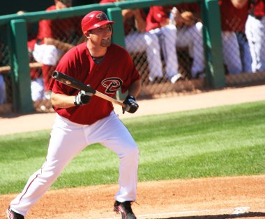 Arizona diamondback brandon webb kiraz kuşu