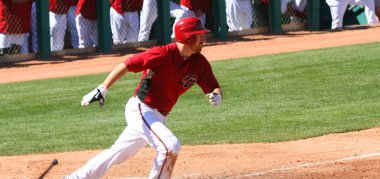 adam laroche hit bahar eğitim alır.