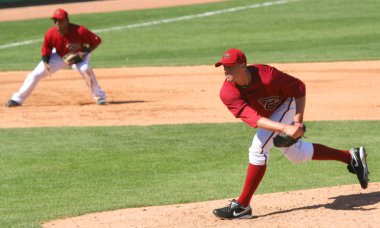 Arizona diamondback bryan augenstein sahaları