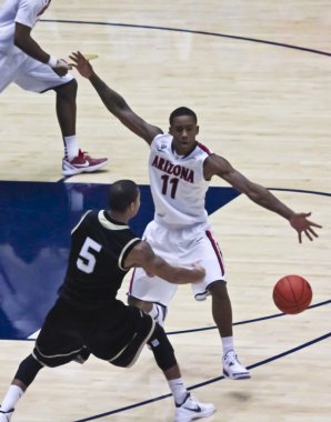 bir arizona wildcat josiah turner kanat açıklığı