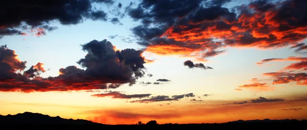 stock image Blazing Sky