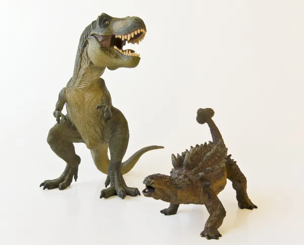 Анкилозавр и тираннозавр сражаются на белом фоне — стоковое фото