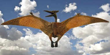 A Pterosaur Glides in a Sky with Clouds clipart