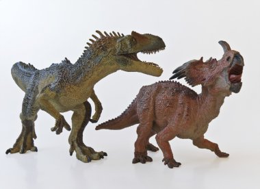 Beyaz arka plan ile Allosaurus ve styracosaurus savaş