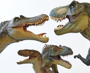 A Spinosaurus, Tyrannosaurus Rex, Velociraptor and Allosaurus clipart