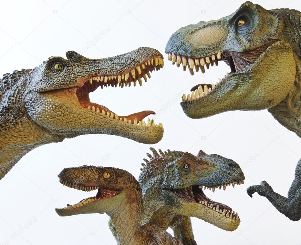 A Spinosaurus, Tyrannosaurus Rex, Velociraptor and Allosaurus