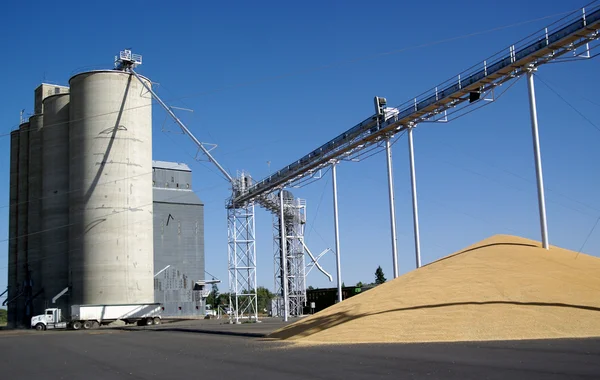 stock image Grain co-op in the Pacific Northwest.