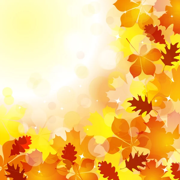 Autumn leaves background — Stock Vector