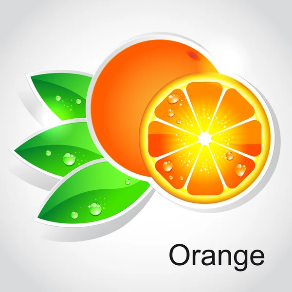 Vector orange — Stock Vector