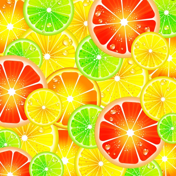 Citrus background — Stock Vector