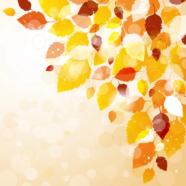 Autumn leaves background — Stock Vector