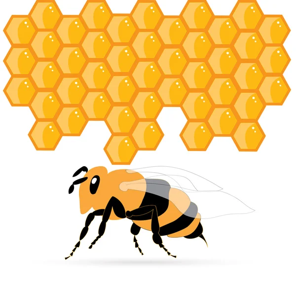 Bee och honung isolerade illustrationer vektor — Stock vektor