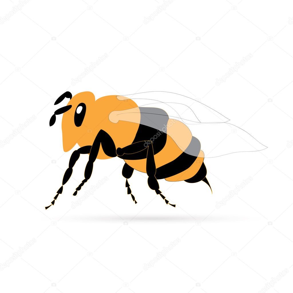 Bee isolated illustrations for your print