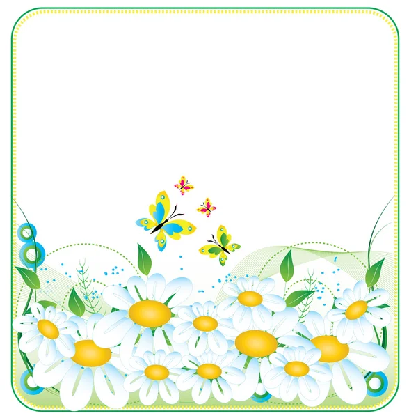Camomile banner or frame for web sites or for print — Stock Vector