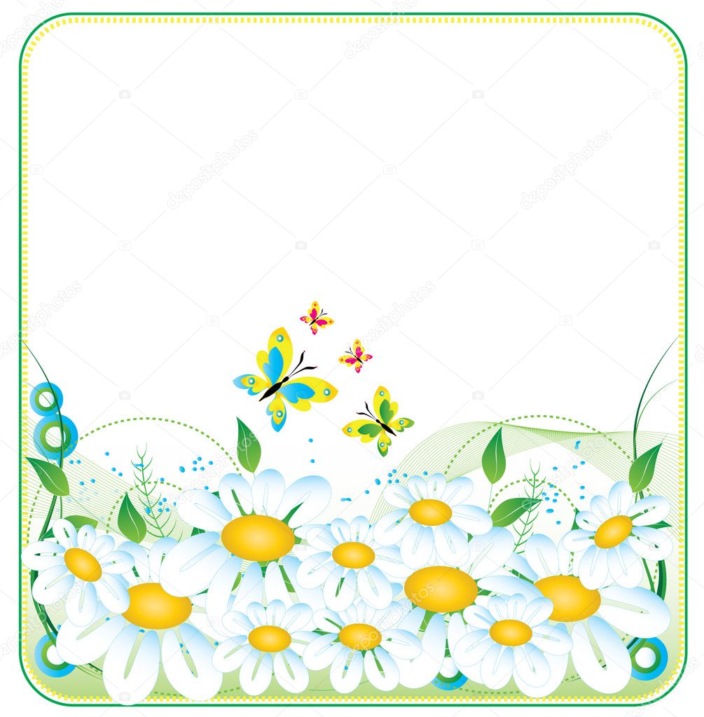Camomile banner or frame for web sites or for print