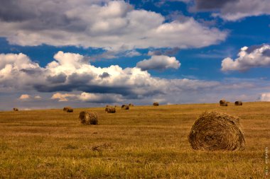 Summer landscape of an oblique field and the sky with clouds clipart