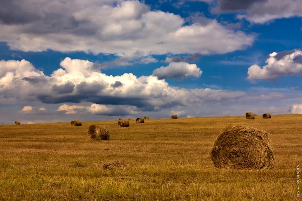 Літній пейзаж косого поля і небо з хмарами — стокове фото