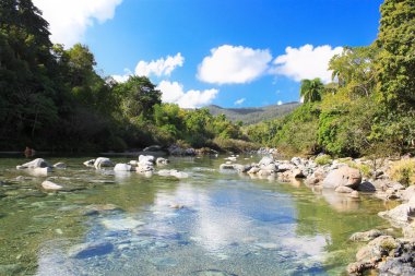 Beautiful clean water of Rio Toa , Cuba clipart