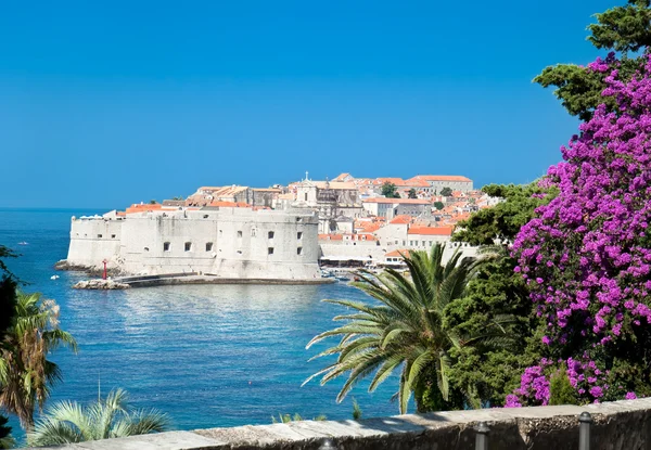 Uma vista panorâmica de uma cidade velha de Dubrovnik — Fotografia de Stock
