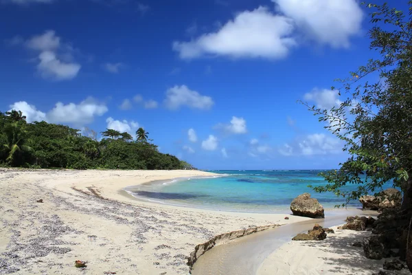 Tropisch strand, cuba — Stockfoto