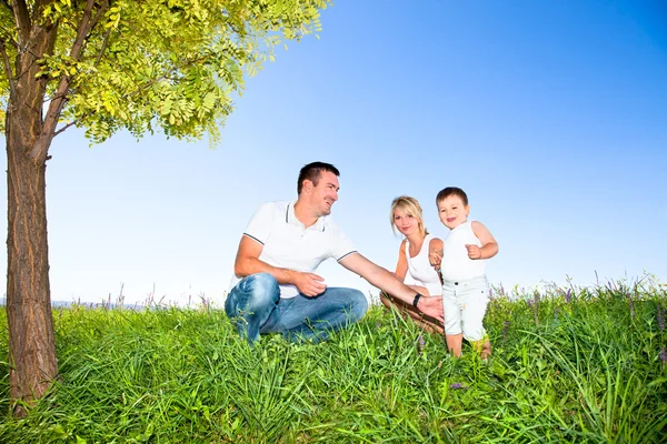 Happy family on picnic in park — Stok fotoğraf