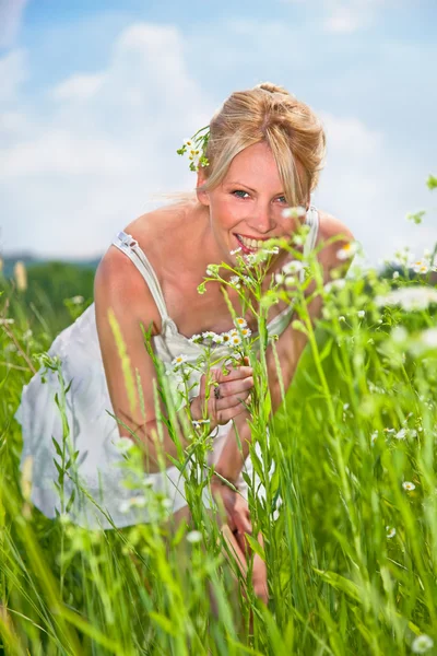 Young beautiful woman on the daisy flowers field — Stock Photo, Image