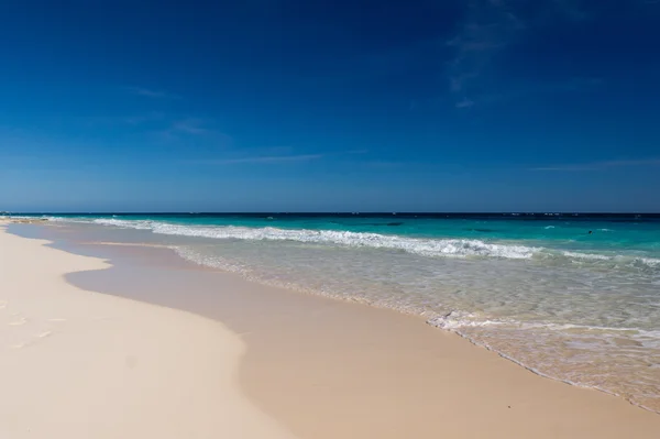 Playa del océano — Foto de Stock