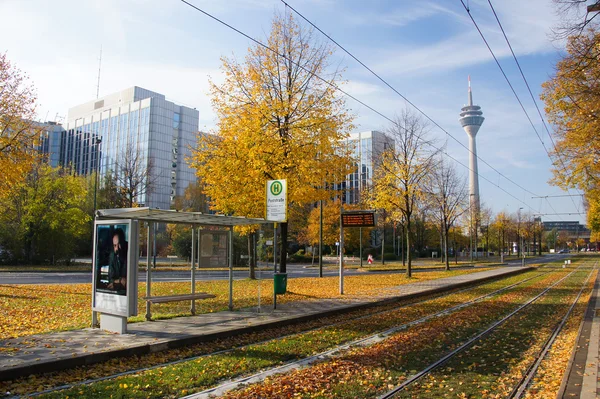 stock image Autumn in Dusseldorf, Germany